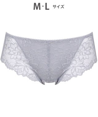 WACOAL サニタリーショーツ 【GOCOCi ゴコチ】 「普通~多い日」に対応 後ろまでしっかりカバー 羽付きナプキン対応 総レース 生理用ショーツ はきこみ丈あさめ レディース PGG198 /ワコール グレー