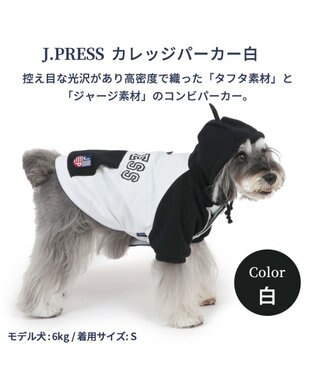 犬 服 J.PRESS パーカー 【小型犬】 カレッジ 白 / PET PARADISE 