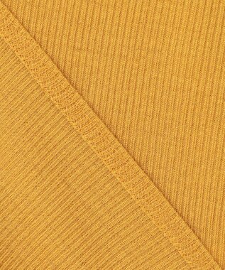 BEIGE， 【洗える・GISELe 10月号掲載】FORD / ウール配色メローヘンリーネックカットソー Mustard