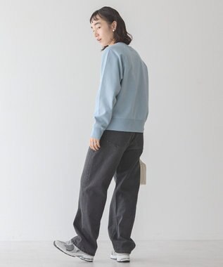 AMERICAN HOLIC ＭＩＣＨＩＧＡＮ　ラグランスウェット Sax