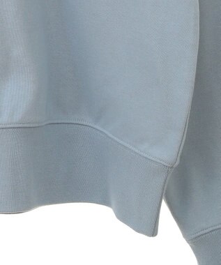 AMERICAN HOLIC ＭＩＣＨＩＧＡＮ　ラグランスウェット Sax