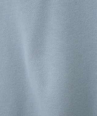 AMERICAN HOLIC ＭＩＣＨＩＧＡＮ　ラグランスウェット Sax