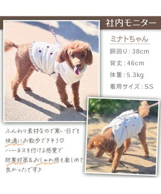 PET PARADISE ペットパラダイス デニム アウターハーネス 小型犬 ブルー