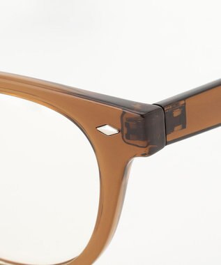 ANY SIS 【WEB限定】調光レンズ サングラス ブラウン