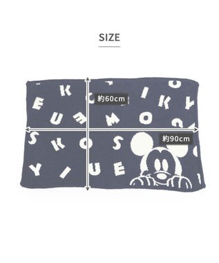 PET PARADISE ディズニー ミッキーマウス 遠赤外線 ブランケット 《ロゴ柄》 90×60cm  ロゴ柄