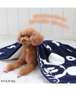 PET PARADISE ディズニー ミッキーマウス 遠赤外線 ブランケット 《ロゴ柄》 90×60cm  ロゴ柄