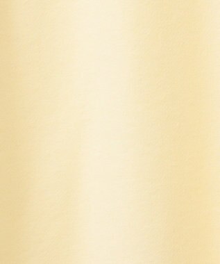 AMERICAN HOLIC カレッジロゴ裏毛プルオーバー Light Yellow