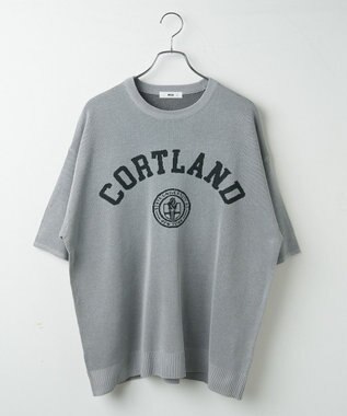 WEGO 【ユニセックス着用ITEM】ジャガードニットプルオーバー（S） グレー