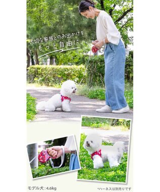 PET PARADISE リサとガスパール 伸縮リード 《パリ柄》 レッド