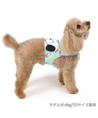 PET PARADISE スヌーピー クールベスト 《果物柄》 小型犬 果物柄