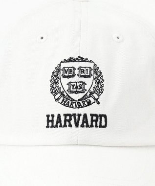 ANY カレッジコラボキャップ ホワイト(HARVARD)