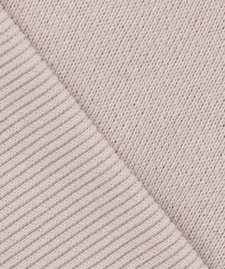 ANY SIS フレンチスリーブロゴ スウェット ローズグレー