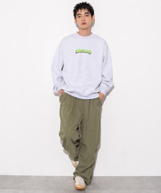 WEGO 【ユニセックス着用ITEM/MLサイズ展開/裏起毛】別注BENDAVISプランプロゴプルオーバー アッシュグレー