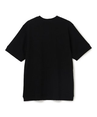 JOSEPH HOMME 【HIGH GRADE LINE】東北コットン  VネックTシャツ ブラック系