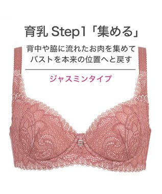 BRADELIS New York 【BRADELIS New York】ジャスミンステップ1ブラ23A2 幅広ワイヤーでしっかりお肉を集めて谷間を作る補整ブラ ピンク