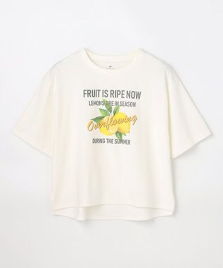 ANY L ANYファンクションロゴTシャツ オフレモン