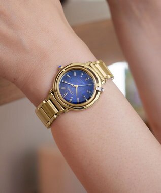 CITIZEN 【生命力あふれる美しい水（AQUA）を表現限定モデル】電池交換不要 光発電エコ・ドライブ ARCLY Collection EM1099-57L ゴールド