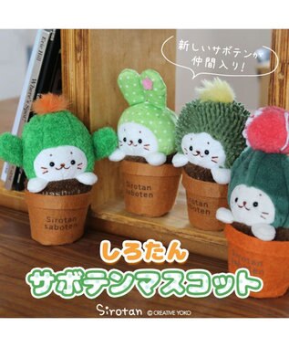 Mother garden しろたん サボテン マスコット 《きんしゃちサボテン》 きんしゃちサボテン