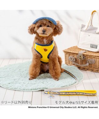 PET PARADISE ミニオン ボブ柄 リード ４Ｓ～３Ｓ イエロー
