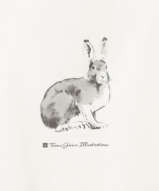 JOSEPH ABBOUD MOUNTAIN 【日本製・アーティストコラボレーション】プレーティング天竺Tシャツ ホワイト系ウサギ