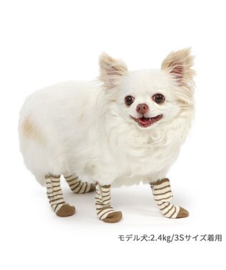 PET PARADISE ペットパラダイス makokoro スリット 靴下  《ボーダー》  ＳＳ 小型犬 ボーダー
