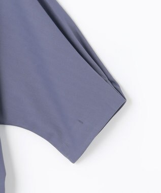 ANY ドルマンタックスリーブトップス ブルー