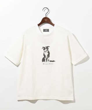JOSEPH ABBOUD MOUNTAIN 【日本製・アーティストコラボレーション】プレーティング天竺Tシャツ ホワイト系ボーダーコリー