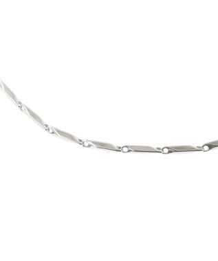 Green Parks ｅｖｅｒｙｗａｌｋ．ステンレスミラーカットネックレス Silver