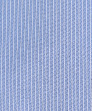 J.PRESS LADIES S 【WEB限定カラーあり・洗える】ストライプジャージー フレンチスリーブ カットソー サックスストライプ系