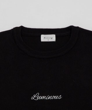 WEGO アクセ付きワンポイントニットプルオーバー（LS） ブラック