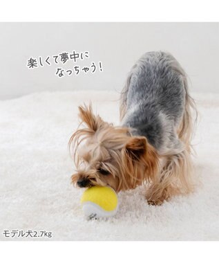 PET PARADISE ペットパラダイス テニスボール トイ ３個セット 0