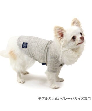PET PARADISE J.PRESS 杢 ウェーブシャツ 《グレー》 小型犬 グレー