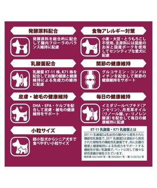 PET PARADISE ペットパラダイス 国産 ドッグフード フローラ 1kg -