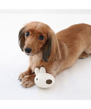 PET PARADISE リサとガスパール ラテックストイ 《リサ》 ホワイト