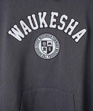 WEGO ヘビーウエイトサガラカレッジプルパーカー スミクロ