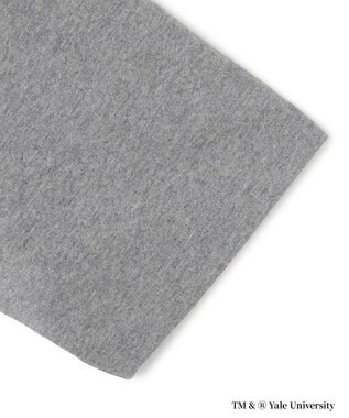 J.PRESS YORK STREET 【YALE別注】【UNISEX】カレッジロゴ Tシャツ ライトグレー系