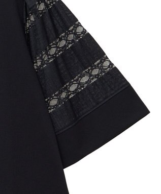 earth music&ecology フレア袖レースプルオーバー Black