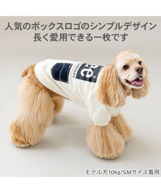 PET PARADISE Lee ボックスロゴ トレーナー ホワイト 中型犬 大型犬 ホワイト