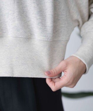 WEGO ハーフZIP襟付きショートスウェット オートミール