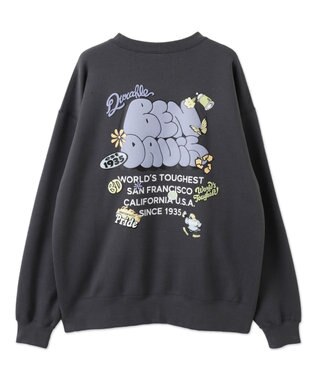 WEGO 【ユニセックス着用ITEM/MLサイズ展開/裏起毛】別注BENDAVISプランプロゴプルオーバー スミクロ