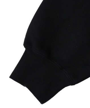 WEGO BENDAVISブリッジグラフィックプルパーカー ブラック