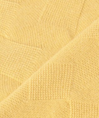 J.PRESS LADIES L 【WEB限定カラーあり】CAT ハイネック ニット イエロー系