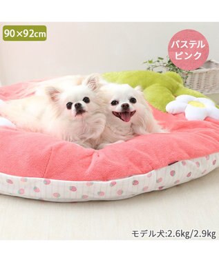 PET PARADISE ネット店限定 ペットパラダイス 春いちご クッション  L パステルピンク