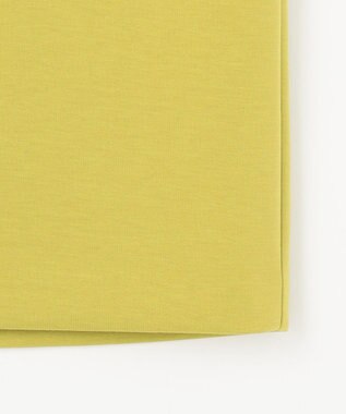 J.PRESS LADIES L 【WEB限定カラーあり・洗える】ダンボール ナロー スカート ピスタチオ系