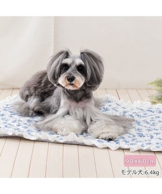 PET PARADISE ペットパラダイス クールマット 《トワルドジュイ柄》 Ｍ ホワイト×ブルー