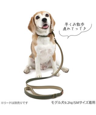 PET PARADISE ペットパラダイス 合皮 首輪 《カーキ》 中型犬 SM カーキ