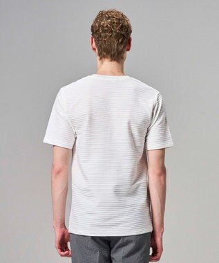 JOSEPH HOMME 【WEB・一部店舗限定】 タックボーダー　半袖カットソー ホワイト系