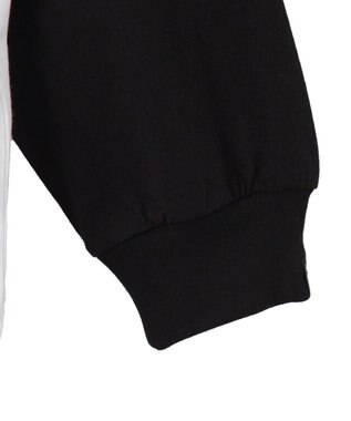 WEGO VISIONジャンクフードラグランLST ホワイト