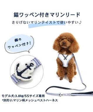 PET PARADISE 犬 リード 【４Ｓ~３Ｓ】 小花柄 マリン マリン