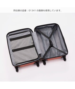 ACE BAGS & LUGGAGE Proteca ポケットライナー2 COUNTRY ed. スーツケース 日本製 37L 機内持込 01611 プロテカ デザート